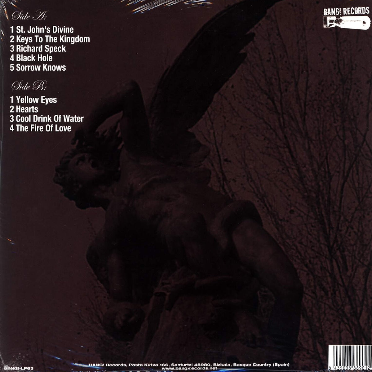 THE GUN CLUB Divinity (LP)