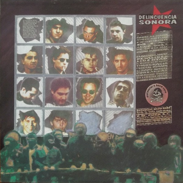 DELINCUENCIA SONORA 1981-1985 (LP)
