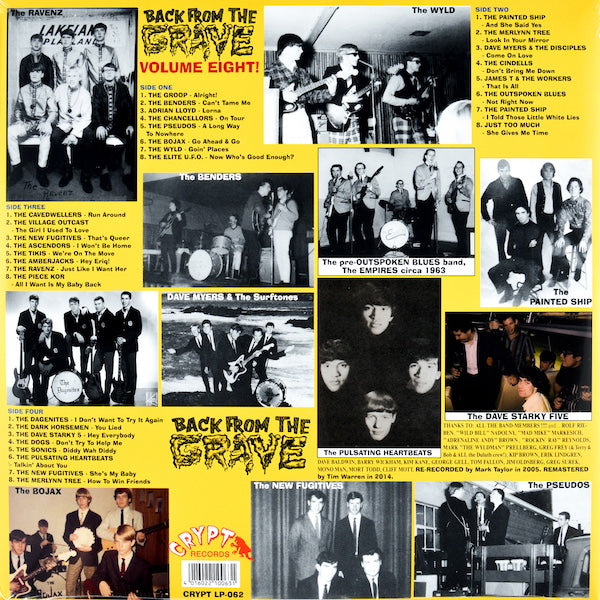 VARIOS Back From The Grave Volume 8 (36 Cuts Of Utter Snarling Mid-60's Garage Punk) (2xLP)