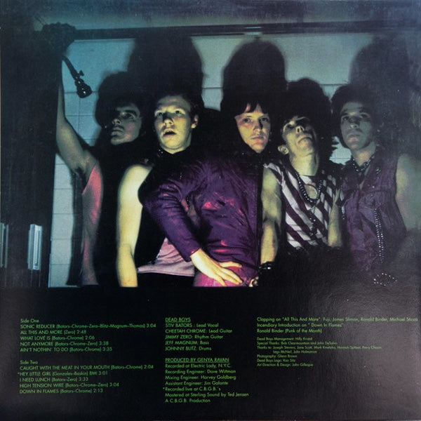 DEAD BOYS Young Loud And Snotty (LP)