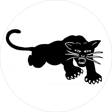 Chapa Black Panthers