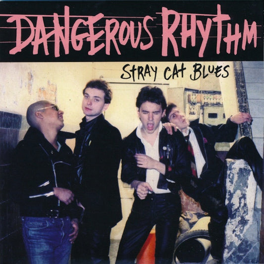 DANGEROUS RHYTHM Stray Cat Blues (7")