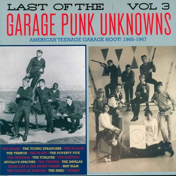 VARIOS Last Of The Garage Punk Unknowns Volume 3 (LP)