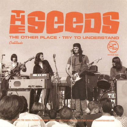 THE SEEDS The Other Place (7")