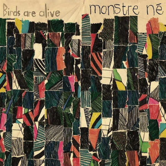 BIRDS ARE ALIVE Monstre Né (LP)