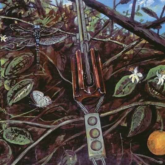 DRAGONFLY Dragonfly (LP)