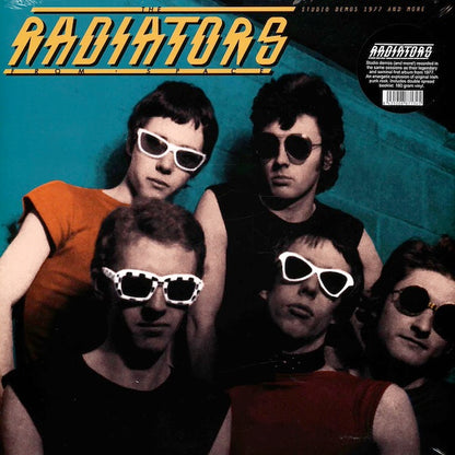 THE RADIATORS FROM SPACE Studio Demos 1977 And More (LP)