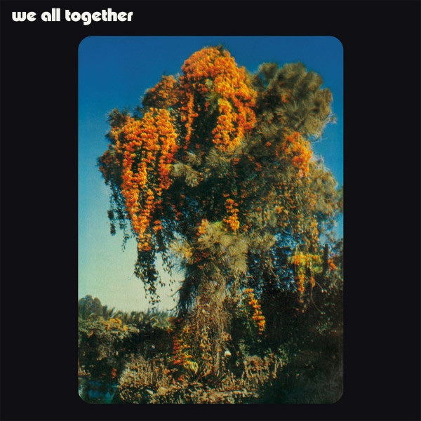 WE ALL TOGETHER We All Together (LP)