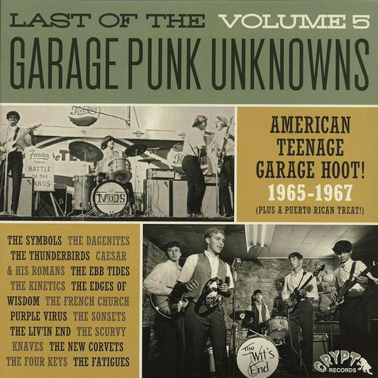 VARIOS Last Of The Garage Punk Unknowns Volume 5 (LP)