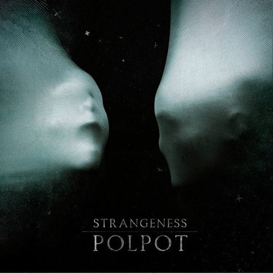 POL POT Strangeness (LP)