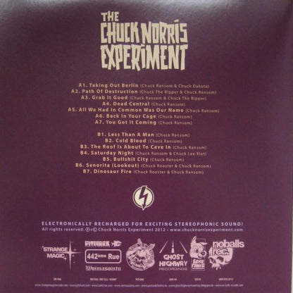 THE CHUCK NORRIS EXPERIMENT Best Of The First Five (LP)