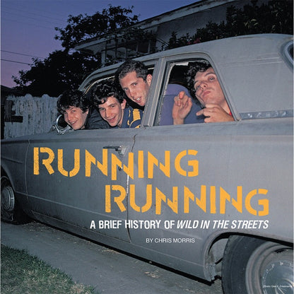 CIRCLE JERKS Wild In The Streets (LP 40th Anniversary reissue)