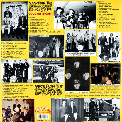 VARIOS Back From The Grave Volume Eight (36 Cuts Of Utter Snarling Mid-60's Garage Punk) (2xLP)