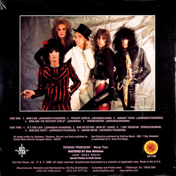 NEW YORK DOLLS Endless Party (LP)