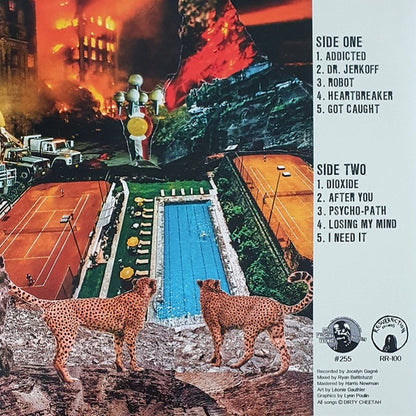 DIRTY CHEETAH Never Too Late (LP)