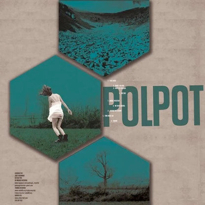 POL POT Whole Mystery (LP)