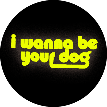 Imán I Wanna Be Your Dog