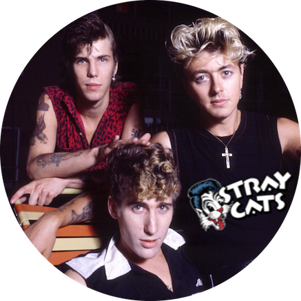 Chapa Stray Cats