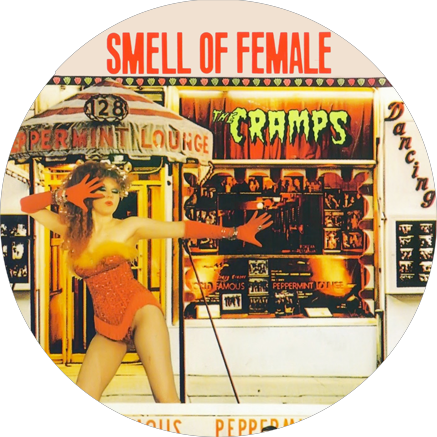 Chapa The Cramps Smell Of Female