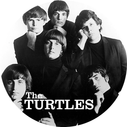 Chapa The Turtles