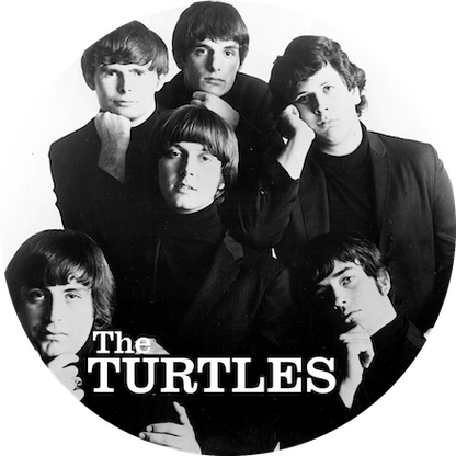 Chapa The Turtles